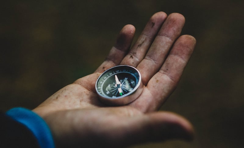 Career Path Exploration